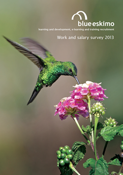 Blue Eskimo salary and work survey