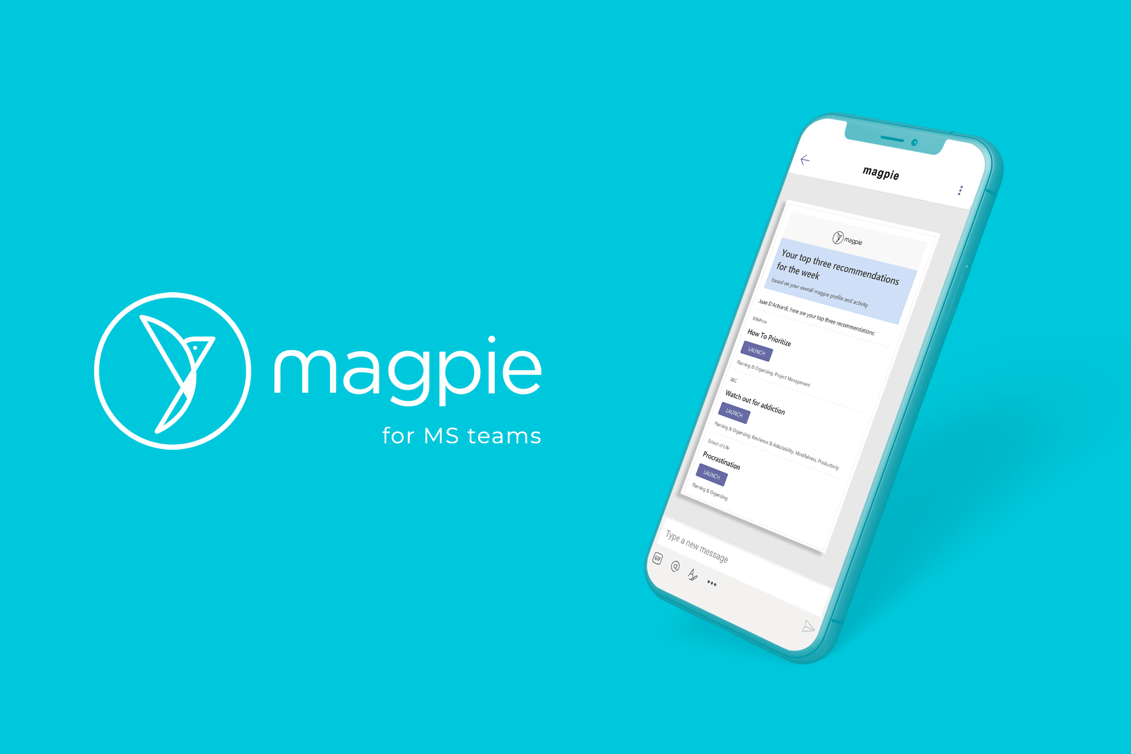 magpie for MS teams